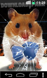 funny hamster: cracked screen