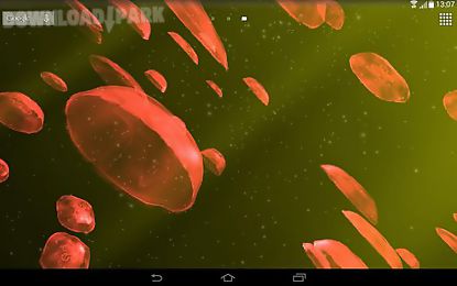 jellyfishes 3d
