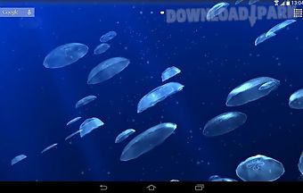 Jellyfishes 3d