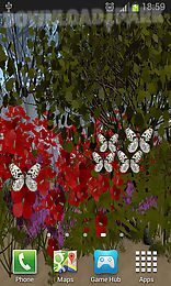 butterflies by wizzhard