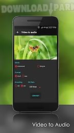 video to audio converter