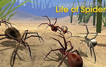 Life of spider