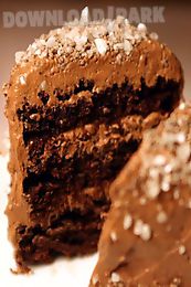 delicious chocolate cake aa