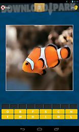 guess fish