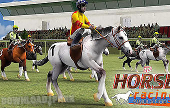 Horse racing simulation 3d