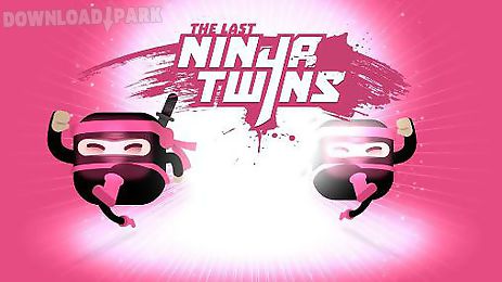 the last ninja twins