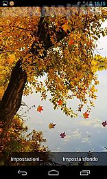 autumn river hd