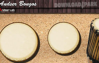 Andser bongos