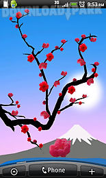 lovely red sakura live wp