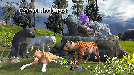 cats of the forest