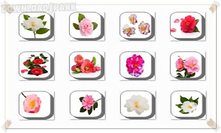camellia flowers onet classic game
