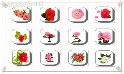 camellia flowers onet classic game
