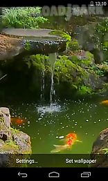 pond with koi