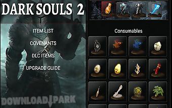 Game guide for dark souls 2