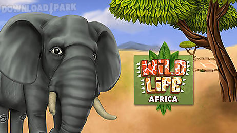 pet world: wildlife africa
