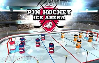 Pin hockey: ice arena