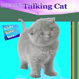 talking cat