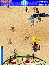 bug smasher_free