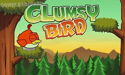clumsy bird