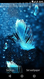 feather: bubble