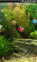 goldfish aquarium lwp