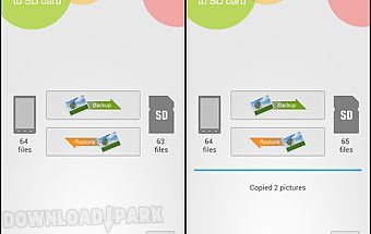 Quick picture backup to sdcard