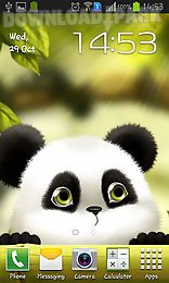 panda