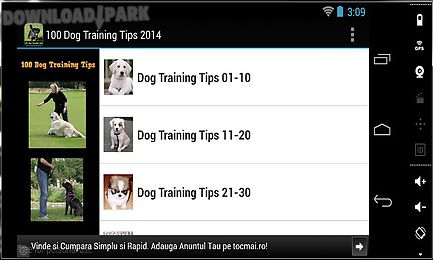 100 dog training tips 2014