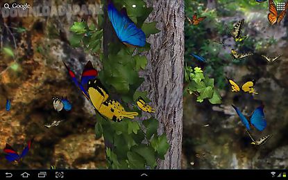 Download Butterfly 3d Android Live Wallpaper Free Download In Apk