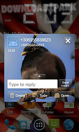 go sms pro angry birdsr theme