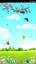 sky birds live wallpaper free