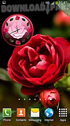 roses clock widget