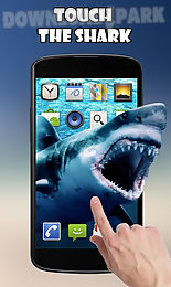 shark attack live wallpaper