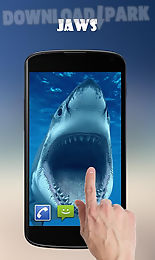 shark attack live wallpaper