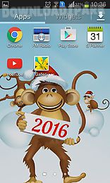 year of the monkey