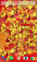 autumn leaves landscape