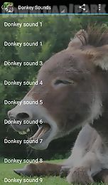 donkey sounds
