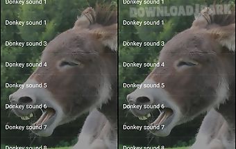 Donkey sounds