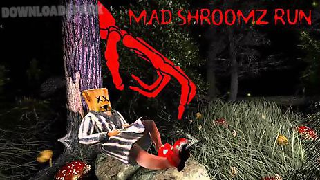 mad shroomz run