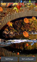 autumn streets