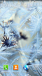 frozen flowers