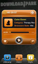 brainwaves-the unexplainable store®