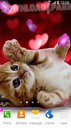 cute animals by live wallpapers 3d