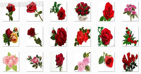 new rose flowers onet classic game