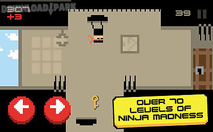 ninja warrior: temple