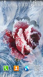 Winter Flowers Android Animiert Hintergrundbild Kostenlose Herunterladen In Apk