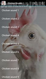 chicken sounds