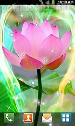 lotus by venkateshwara apps