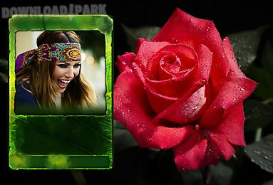 rose photo frames