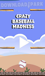 crazy baseball madness